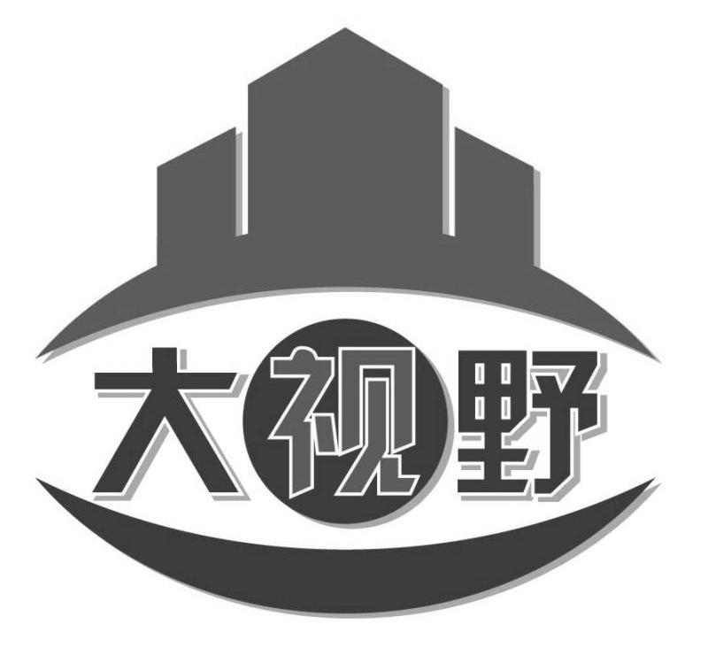 大視野下載，數(shù)字時代的無限探索