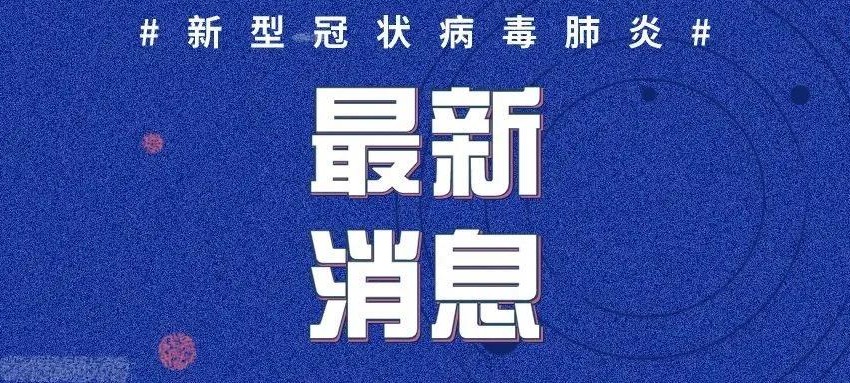 全球冠狀病毒疫情最新動態(tài)，全球態(tài)勢與應(yīng)對策略揭秘