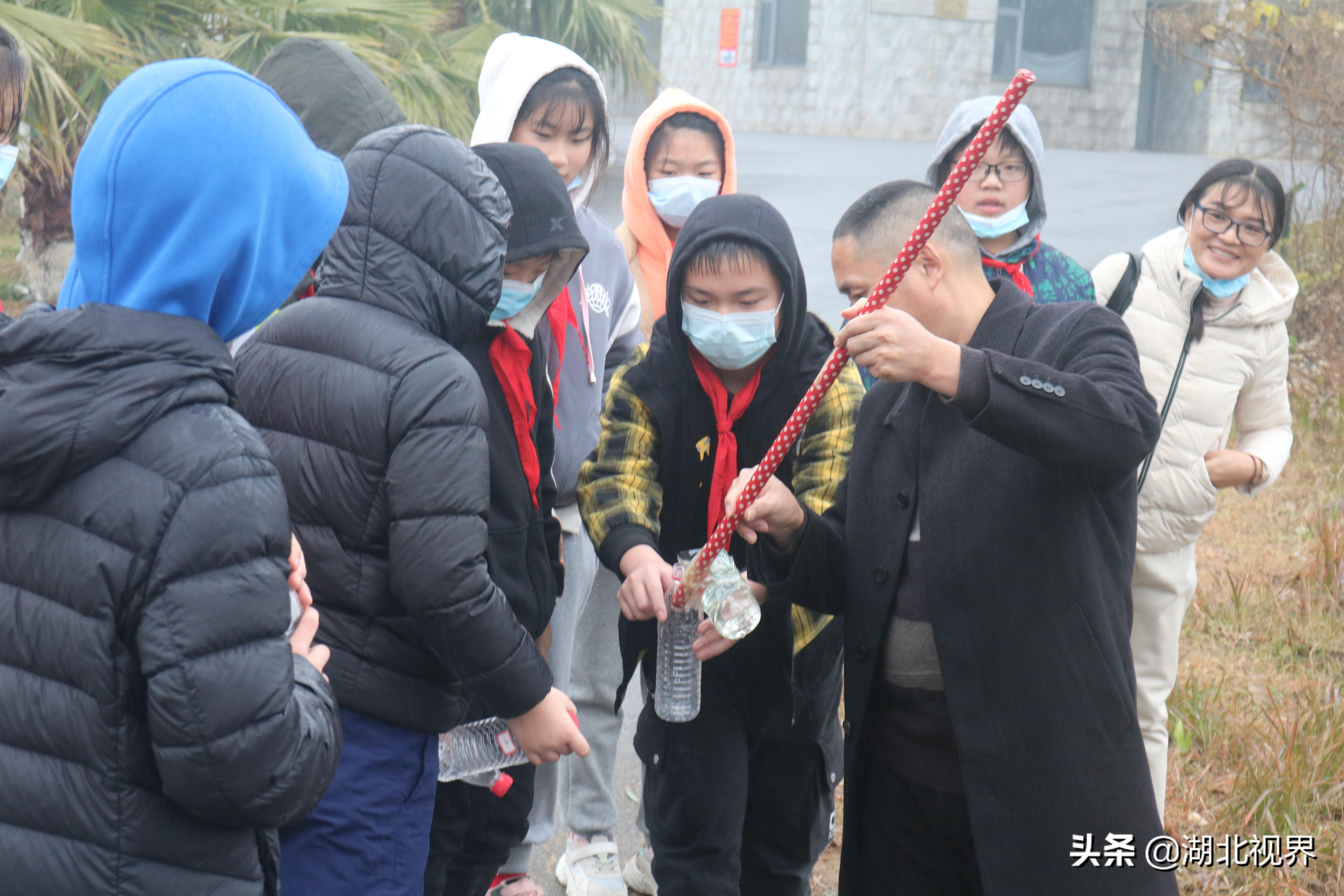 藏龍島濕地公園最新發(fā)展與探索揭秘